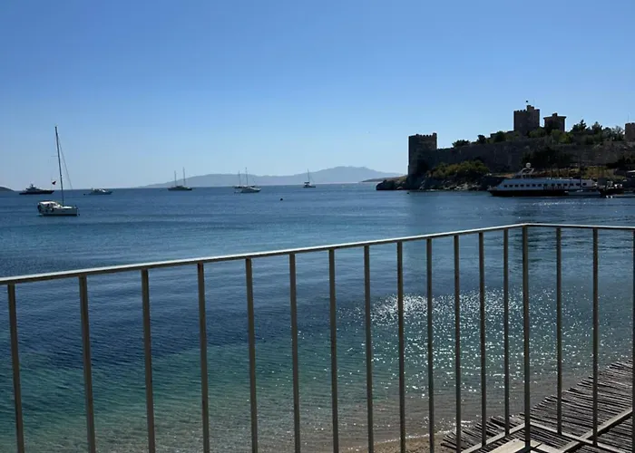 Beachfront Center Dream House Daire